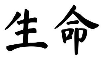 Chinese tattoo design: 生命 (Life) in brush style, simplified Chinese